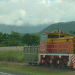 Cane Train