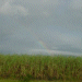 Rainbow from a distance